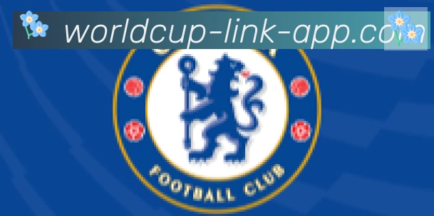 世界杯APP下载合作伙伴